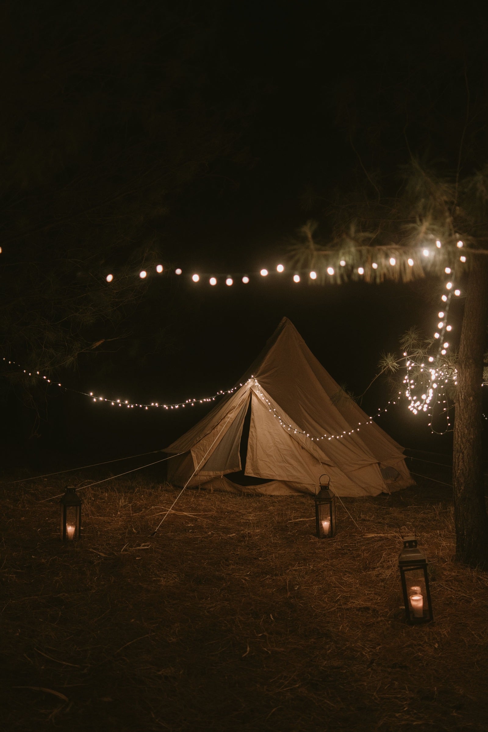 Campamento iluminado entre árboles