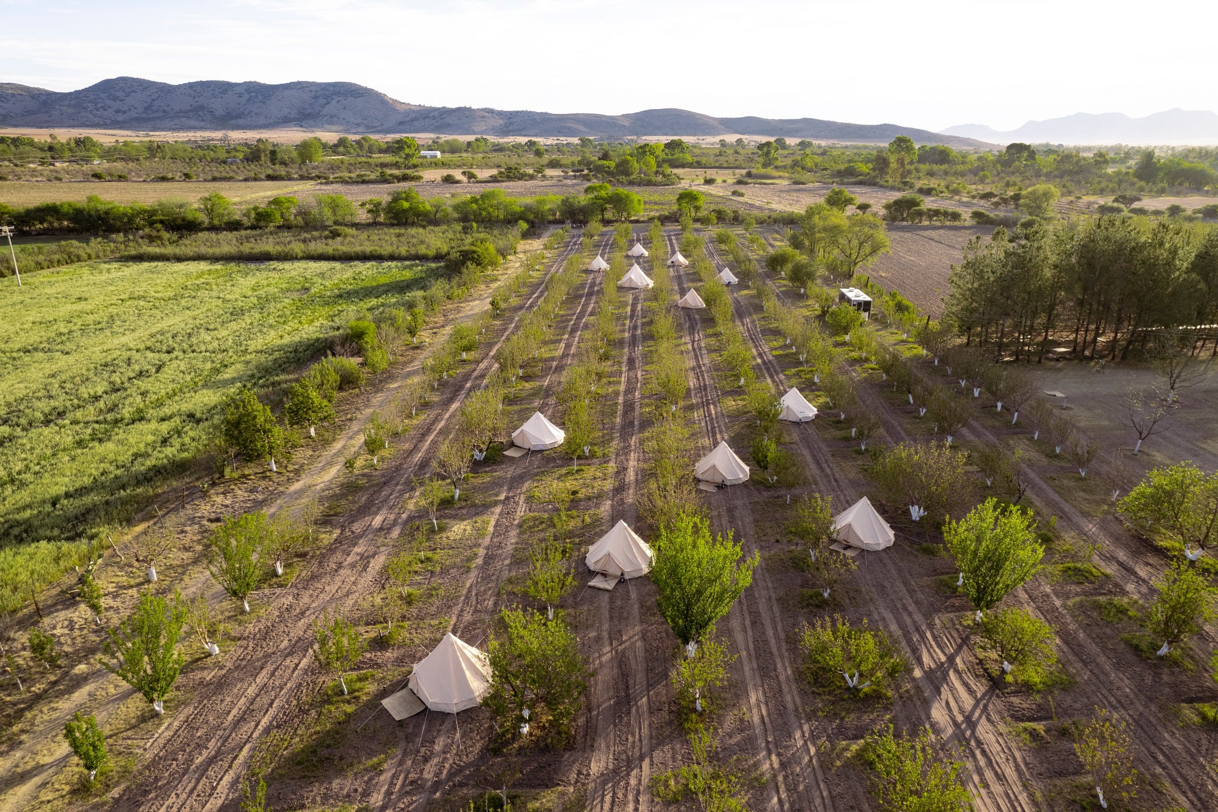 Vista aérea del campamento en la naturaleza