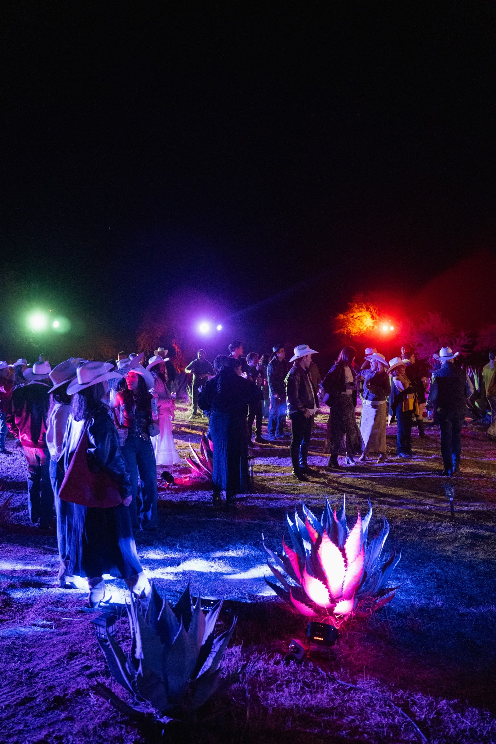 Celebración nocturna en Ritual de origen